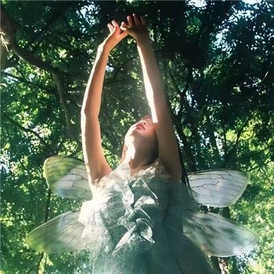 尼克·弗瑞:神盾局特工
